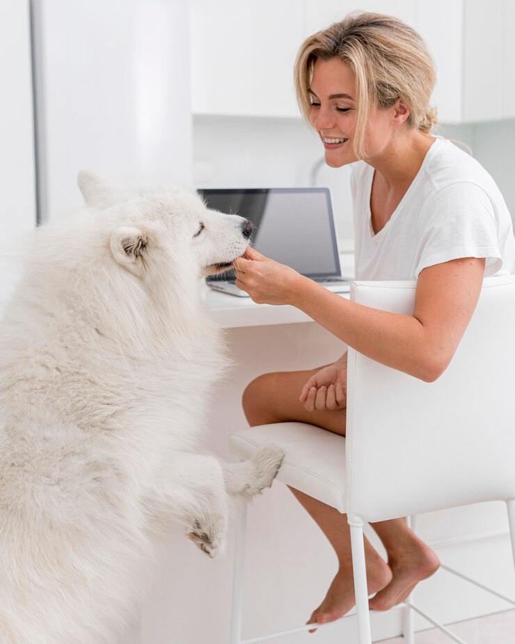 Dental Home Care Options for Pets