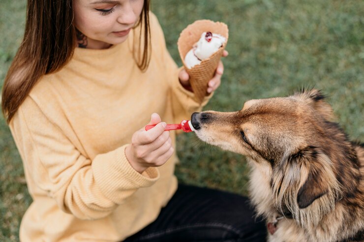 Human Foods That Can Hurt Your Pet