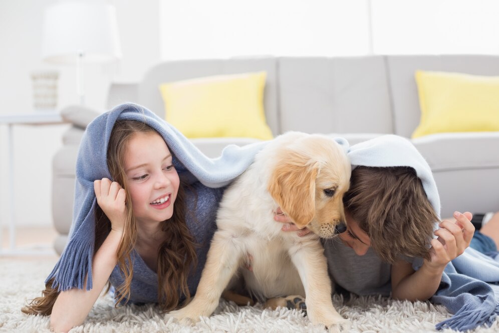 How to Make Your Home Safe for Puppies and Kittens