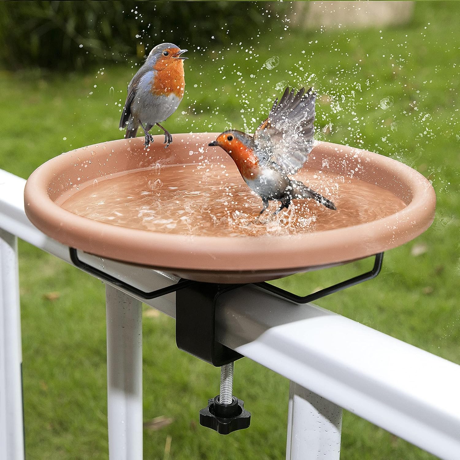 π¦ Bird Bathing