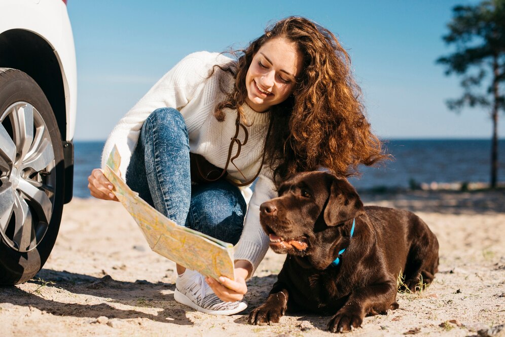 Summer Pet Safety Tips