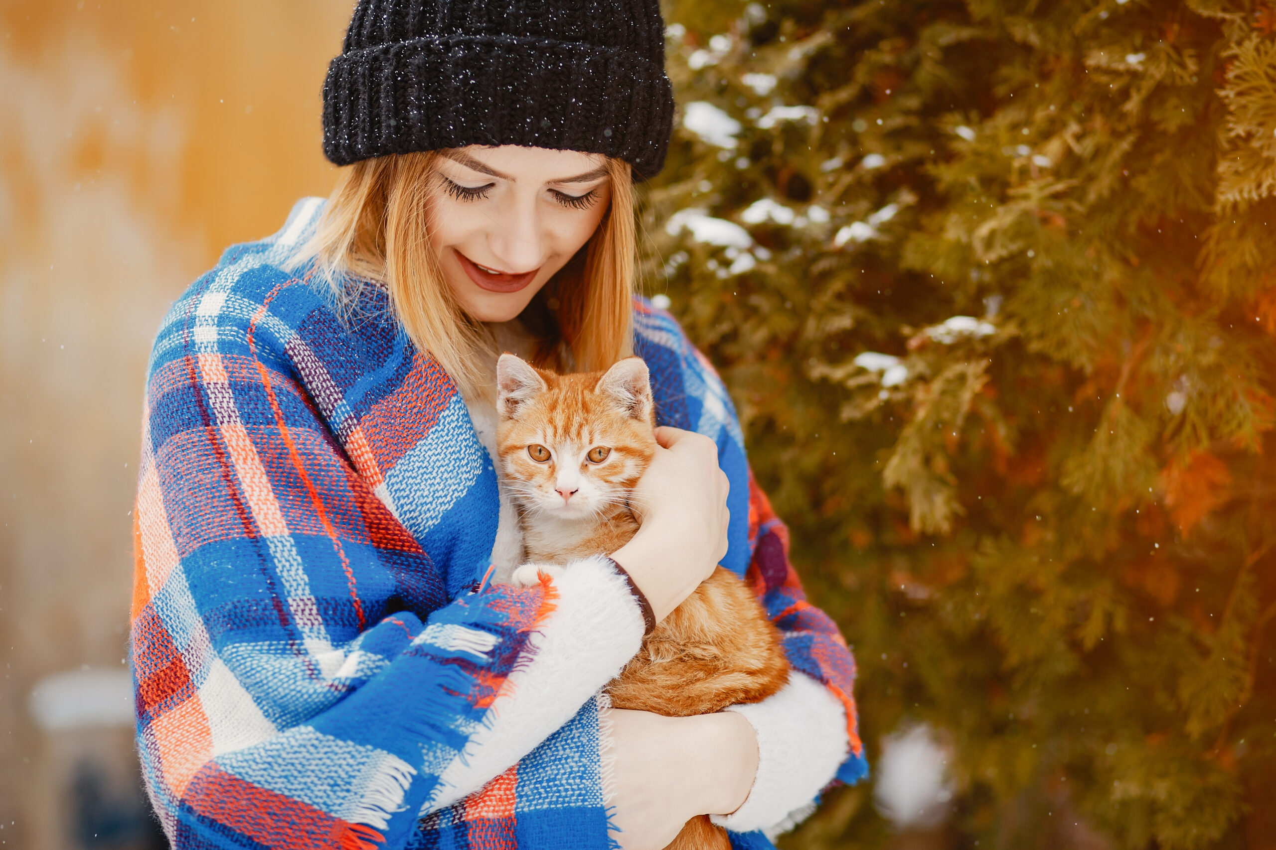 How to Keep Your Pets Warm During Winter