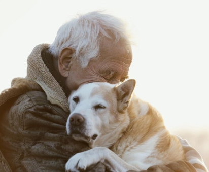 🐾 How to Keep Your Pets Warm During Winter